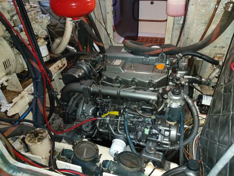 Slide: The Image of Taswell 49 1989 - 5127533