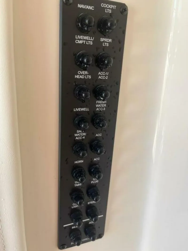 Slide: The Image of Cobia 23 2024 - 4917928