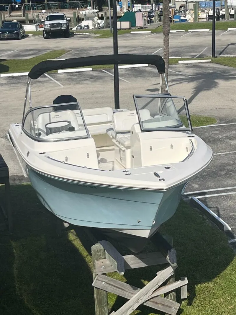 The Image of Cobia 21 2021 - 4924566