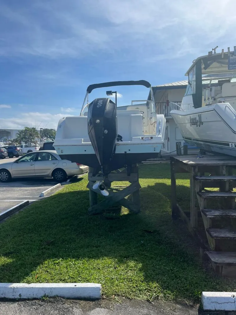 Slide: The Image of Cobia 21 2021 - 4924569