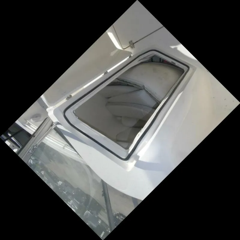 Slide: The Image of Cobia 21 2021 - 4924576