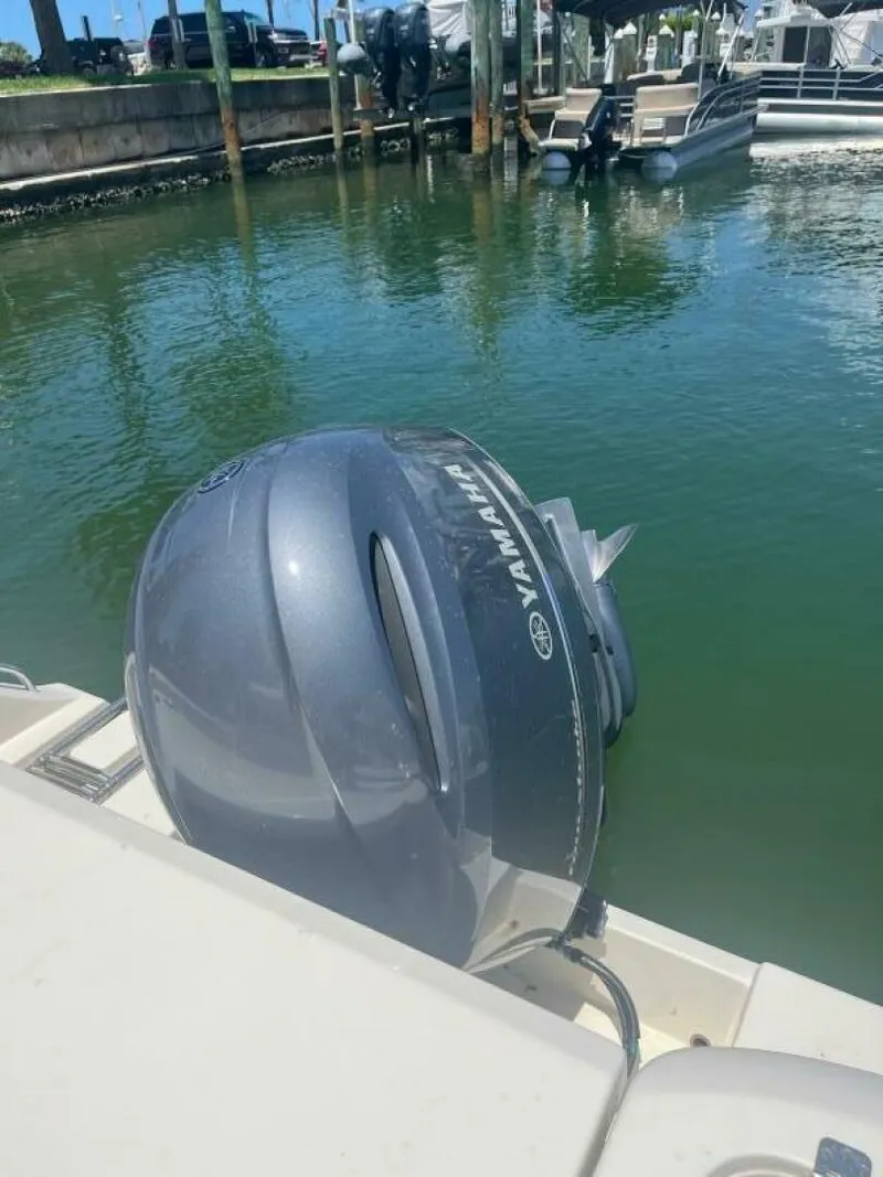 Slide: The Image of Cobia 21 2023 - 4924688