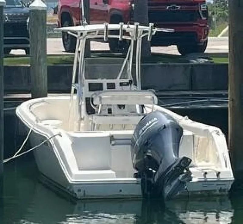 Slide: The Image of Cobia 21 2023 - 4924702