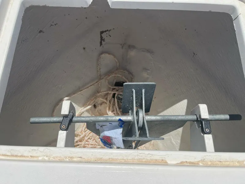 Slide: The Image of Cobia 21 2023 - 4924701