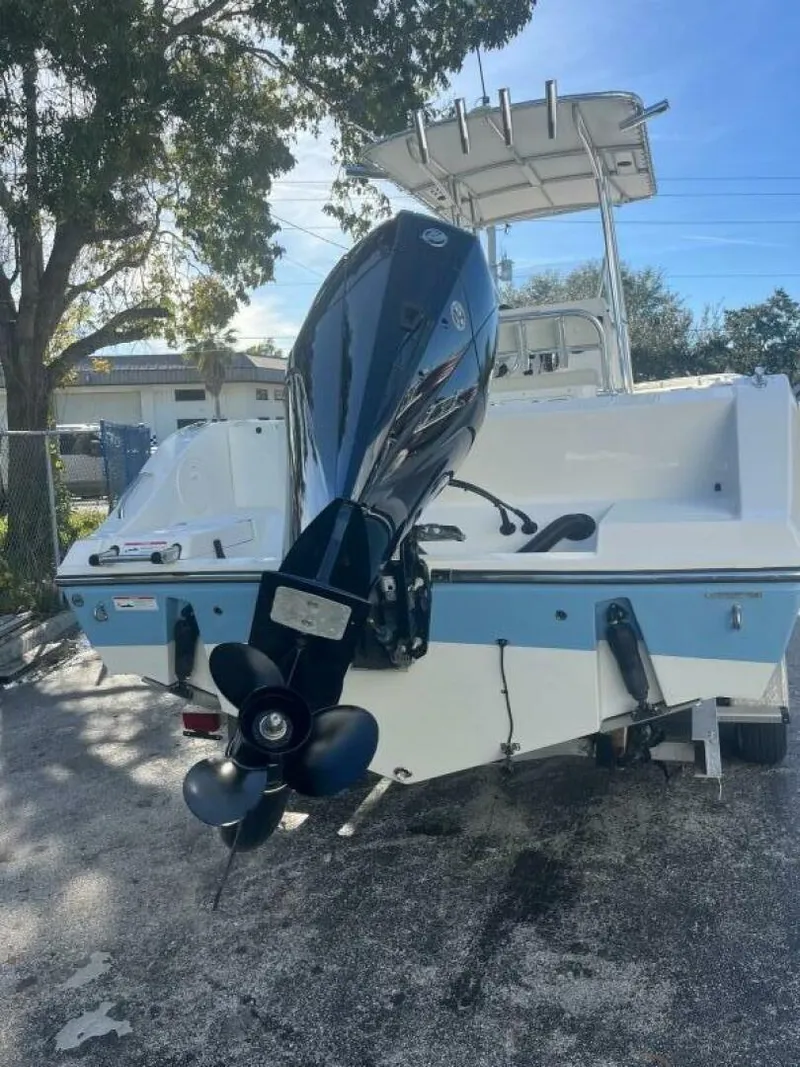 Slide: The Image of Cobia 237 2024 - 4922699