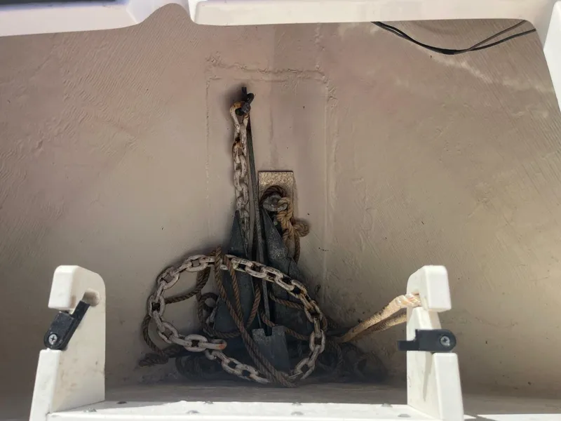 Slide: The Image of Cobia 237 2024 - 4922715