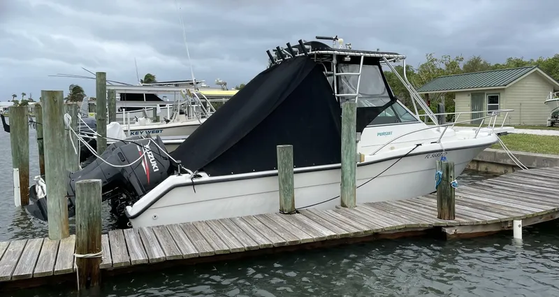 Slide: The Image of Pursuit 2470 1995 - 4928817