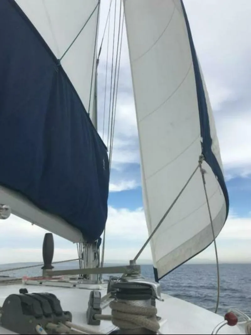 Slide: The Image of Wildcat MKIII 2002 - 5029784