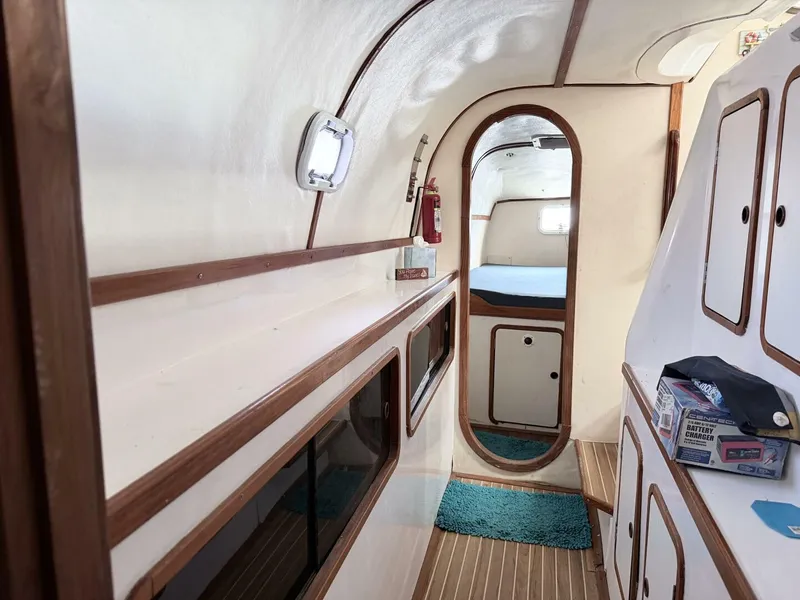 Slide: The Image of Wildcat MKIII 2002 - 5893067