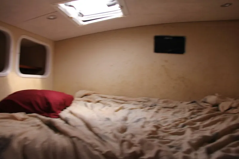 Slide: The Image of Voyage 47 Mayotte 1995 - 5021291