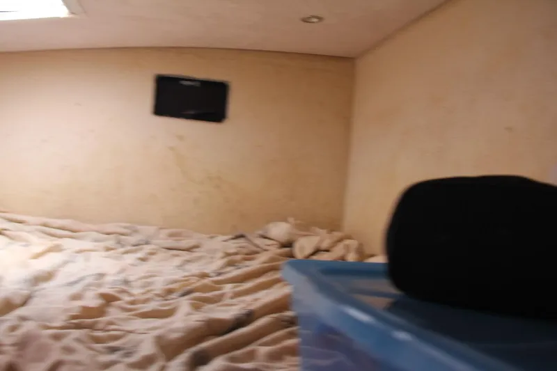 Slide: The Image of Voyage 47 Mayotte 1995 - 5021292