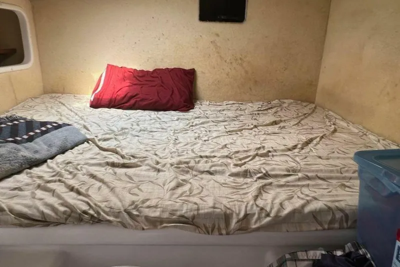 Slide: The Image of Voyage 47 Mayotte 1995 - 4937160