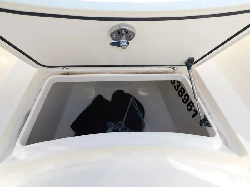 Slide: The Image of Scout 33 2024 - 4935862