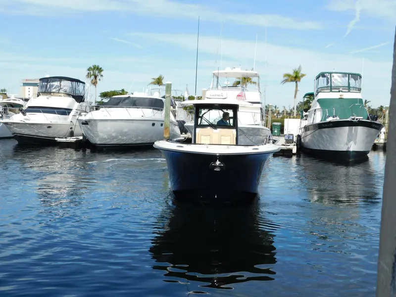 Slide: The Image of Scout 33 2024 - 4935828