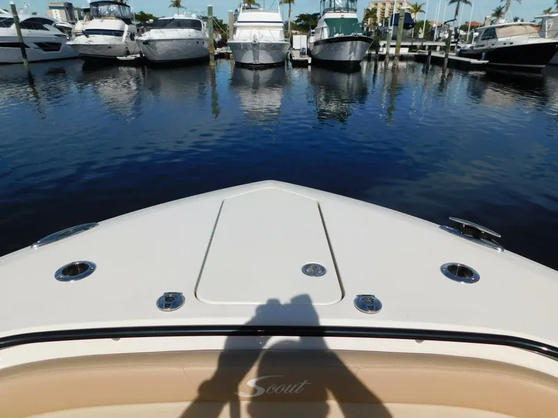 Slide: The Image of Scout 33 2024 - 4935868