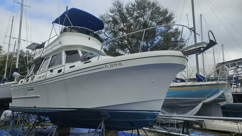 Slide: The Image of 20250118_101138 - 4957152