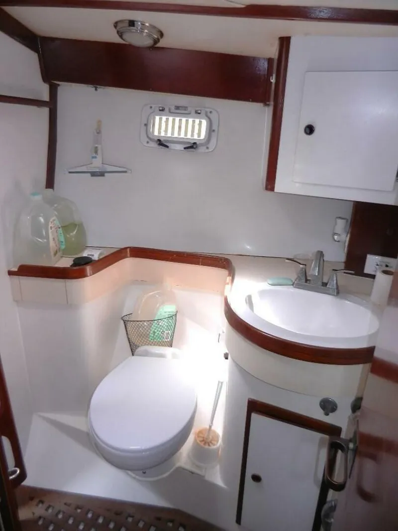 Slide: The Image of Freedom 45 1990 - 4954308