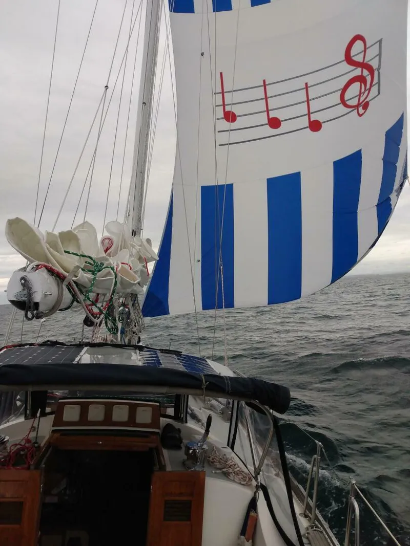 Slide: The Image of Gulfstar 40 1977 - 4964517