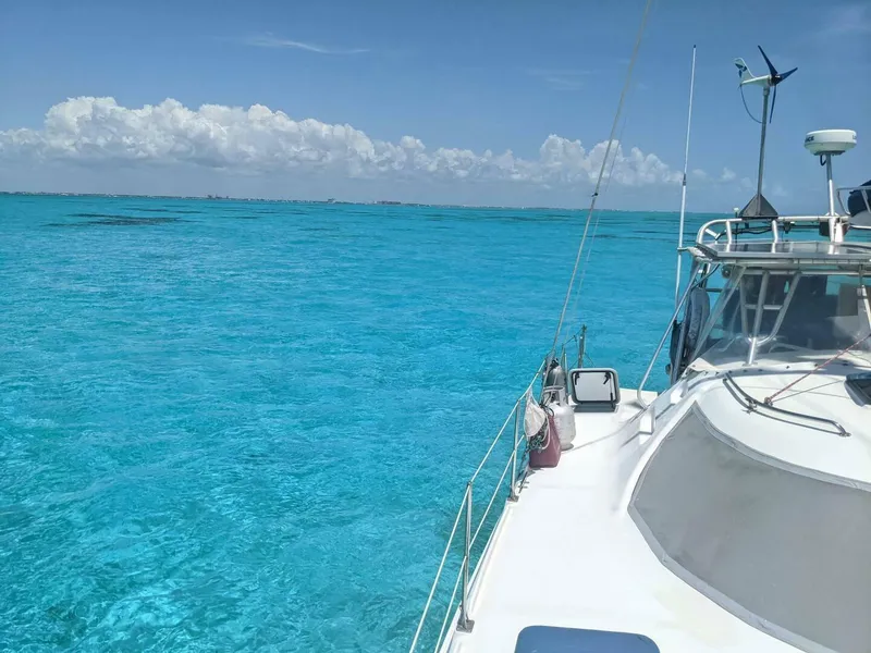 Slide: The Image of Manta 42 1999 - 4962051