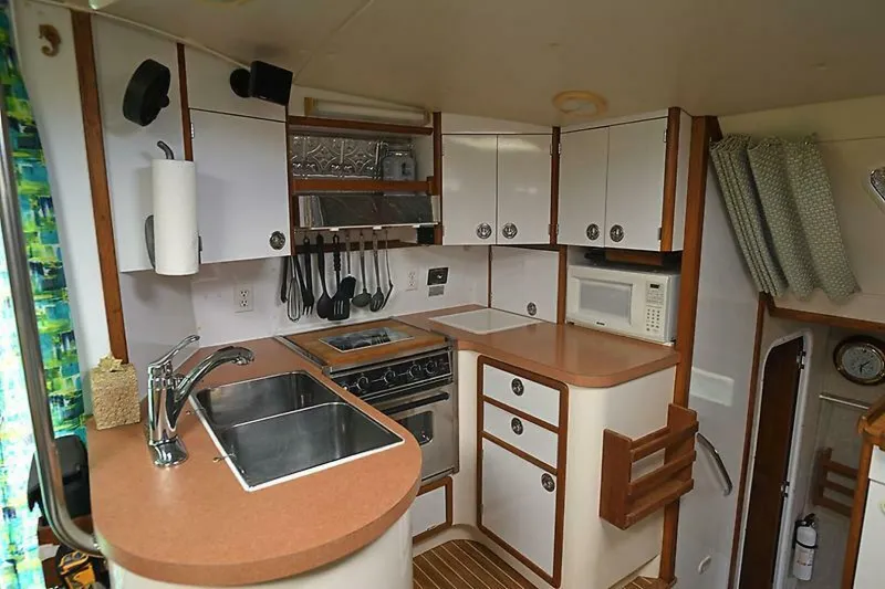 Slide: The Image of Manta 42 1999 - 4962063