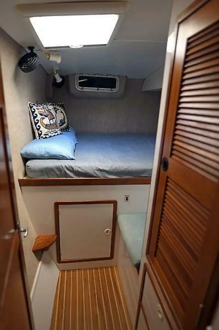 Slide: The Image of Manta 42 1999 - 4962081