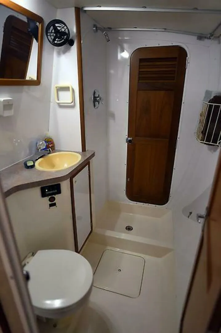 Slide: The Image of Manta 42 1999 - 4962062