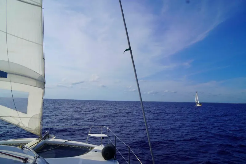 Slide: The Image of Manta 42 1999 - 4962049