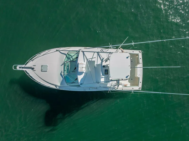 Slide: The Image of Cabo Express 2004 - 4972462