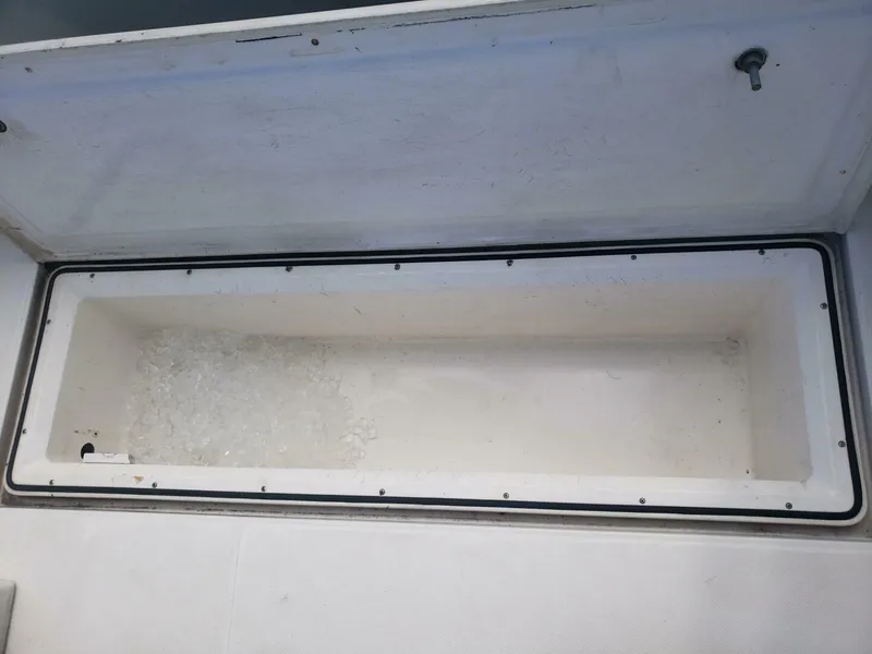 Slide: The Image of Cabo Express Cruiser 1999 - 4972721