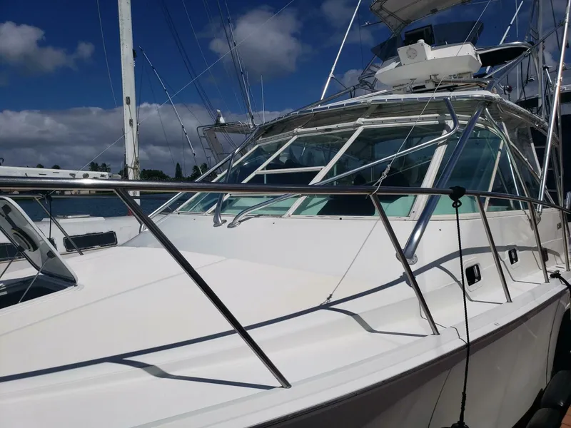 Slide: The Image of Cabo Express Cruiser 1999 - 4972724