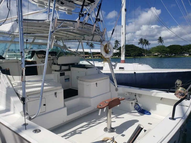 Slide: The Image of Cabo Express Cruiser 1999 - 4972726