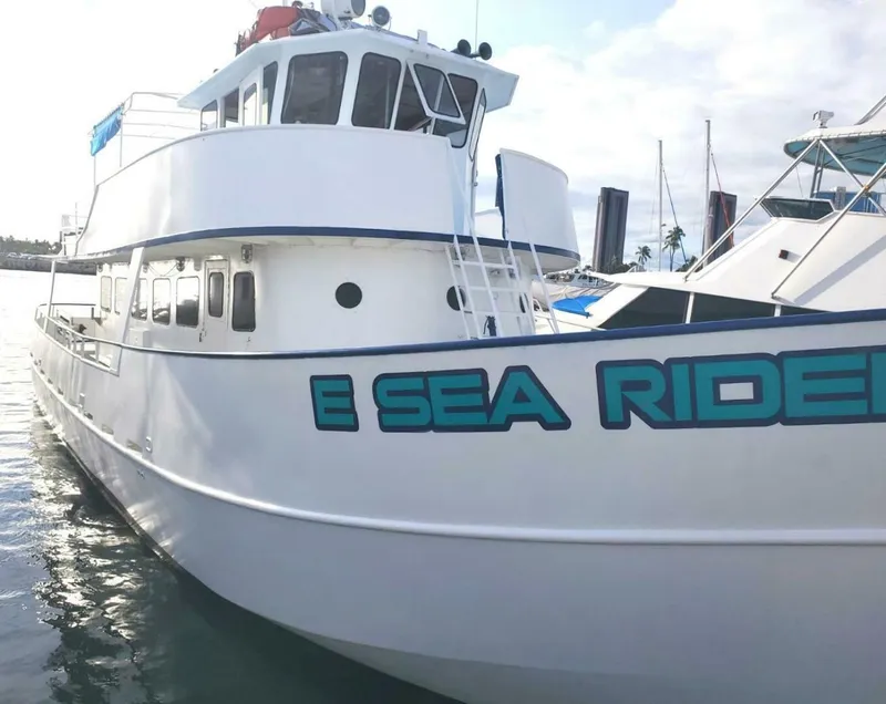 The Image of Custom Commercial Steel Passenger 1982 - 4972741