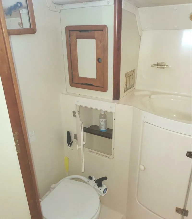 Slide: The Image of Saga 43 1998 - 4972990