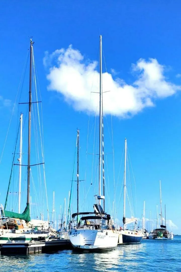 Slide: The Image of Saga 43 1998 - 4972997