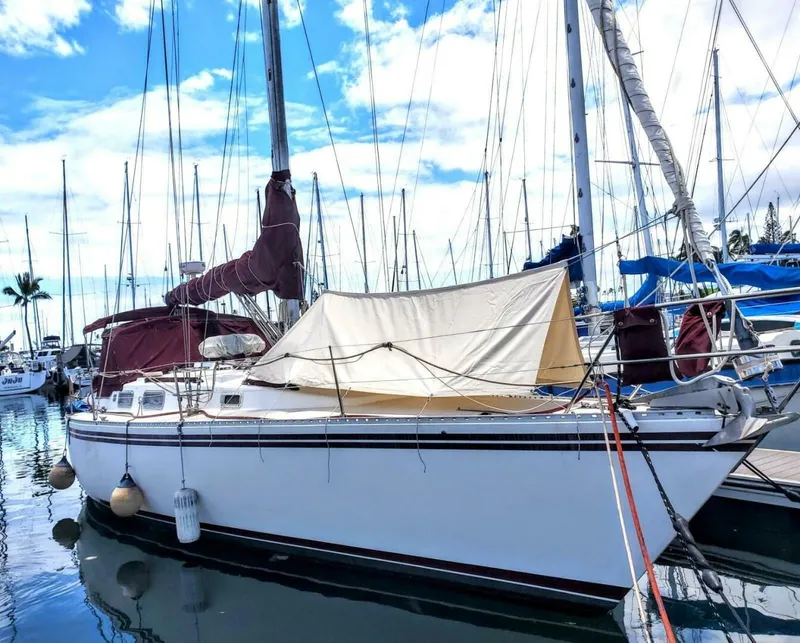 The Image of Morgan Nelson Marek 45-4 1983 - 4976494