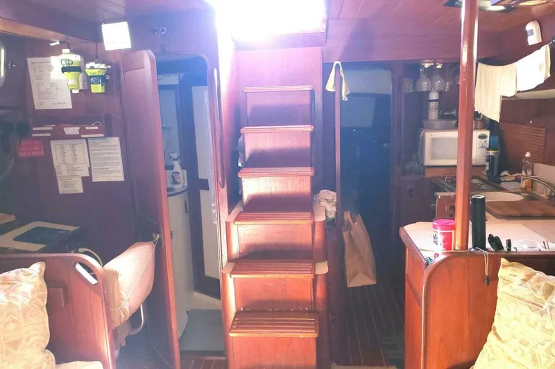 Slide: The Image of Morgan Nelson Marek 45-4 1983 - 4976507