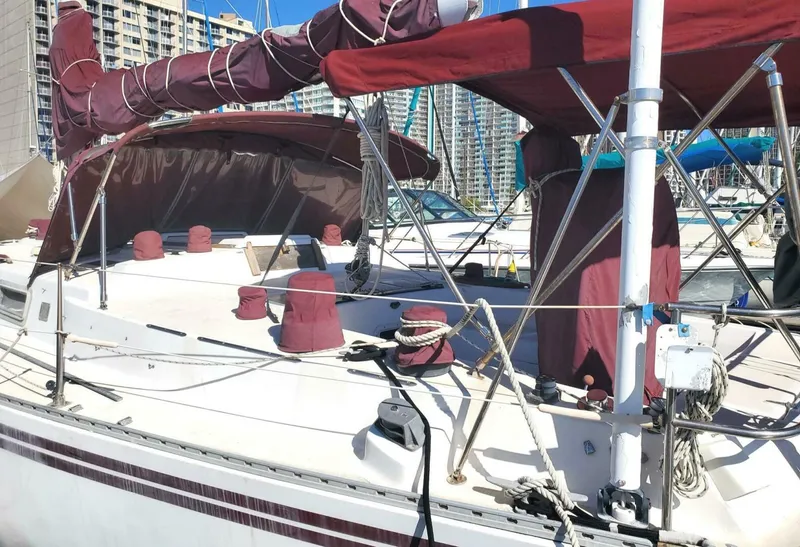 Slide: The Image of Morgan Nelson Marek 45-4 1983 - 4976508