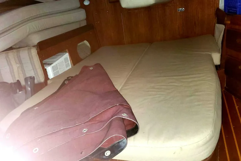 Slide: The Image of Morgan Nelson Marek 45-4 1983 - 4976511