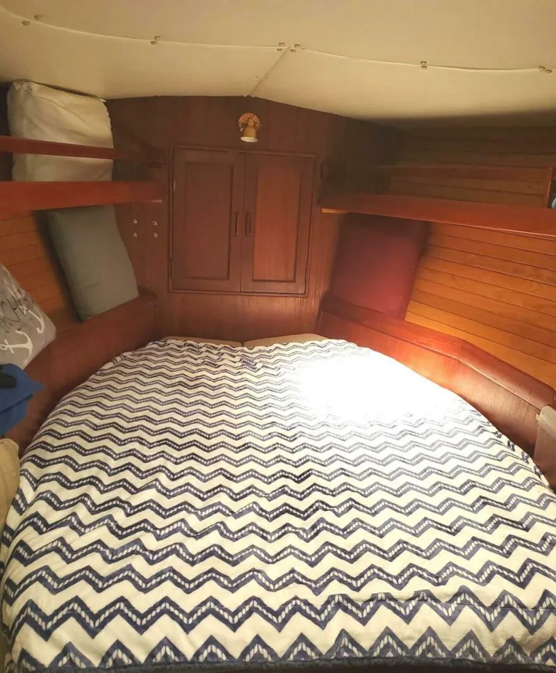 Slide: The Image of Morgan Nelson Marek 45-4 1983 - 4976496