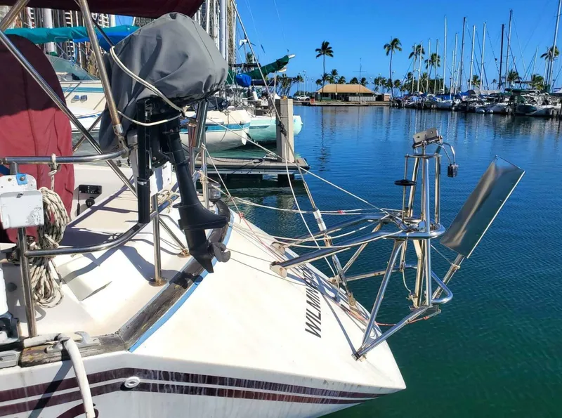 Slide: The Image of Morgan Nelson Marek 45-4 1983 - 4976515