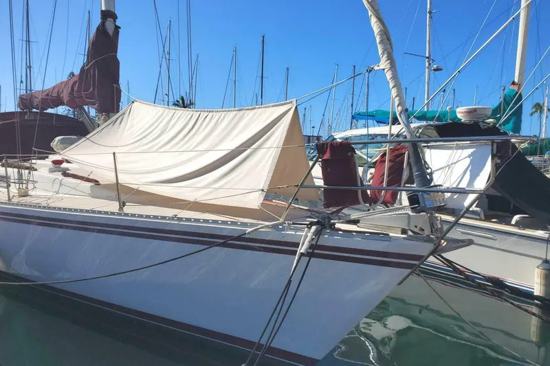 Slide: The Image of Morgan Nelson Marek 45-4 1983 - 4976516