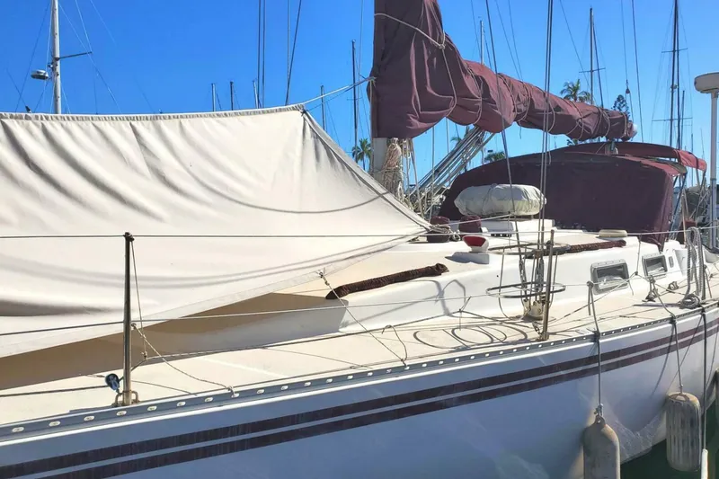 Slide: The Image of Morgan Nelson Marek 45-4 1983 - 4976517