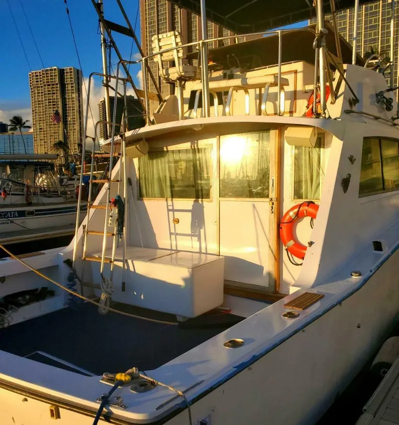 Slide: The Image of Bertram 38 Convertible Sportfisher 1979 - 4976571