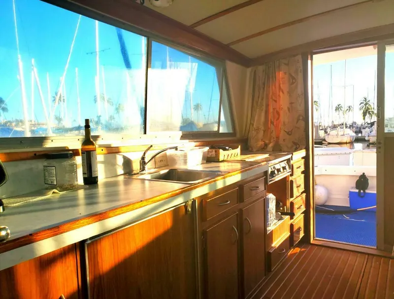 Slide: The Image of Bertram 38 Convertible Sportfisher 1979 - 4976563