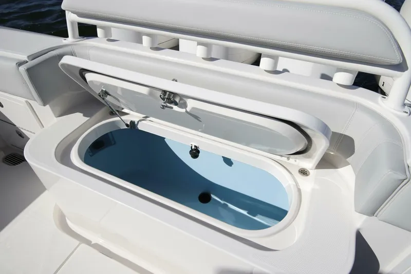 Slide: The Image of Jupiter 43 2026 - 4986342