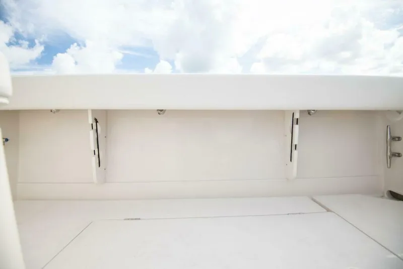 Slide: The Image of 2025 Jupiter 38 - 4986784