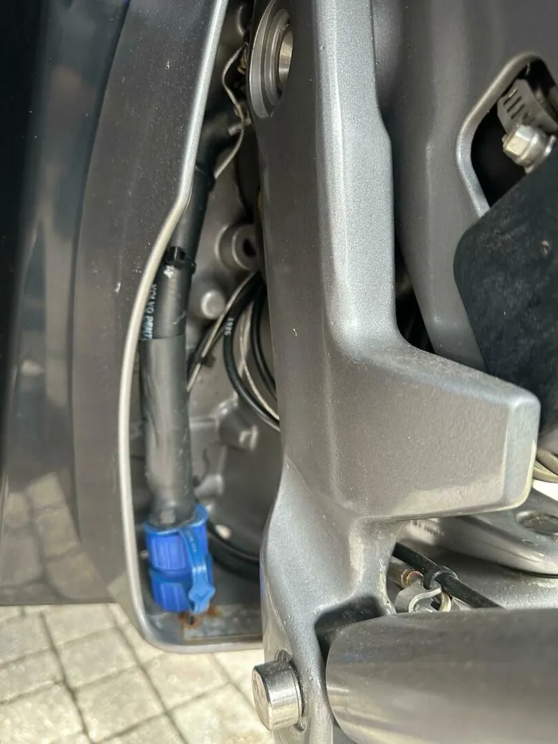 Slide: The Image of Chaparral Surf 23 2020 - 5002671