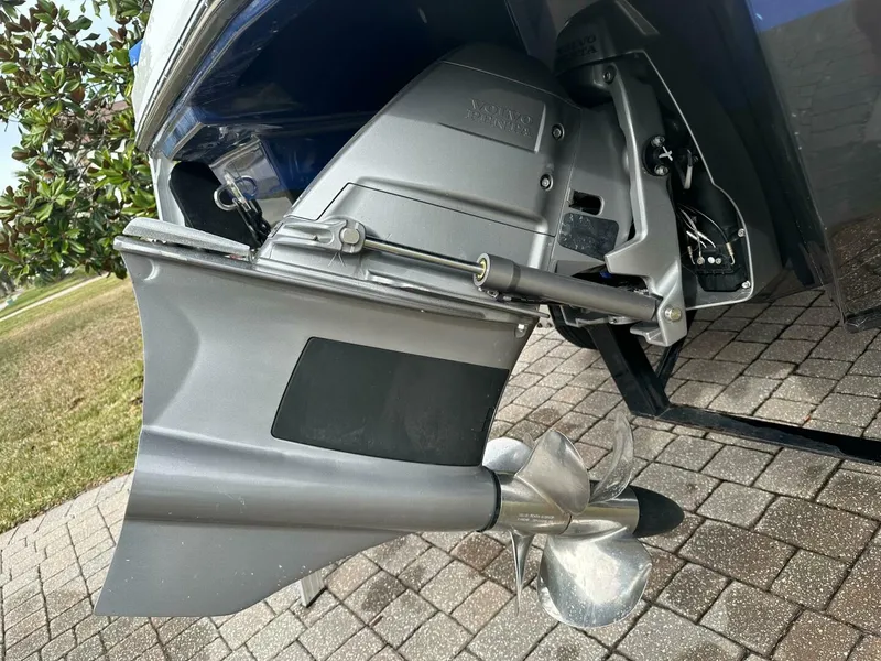 Slide: The Image of Chaparral Surf 23 2020 - 5002652