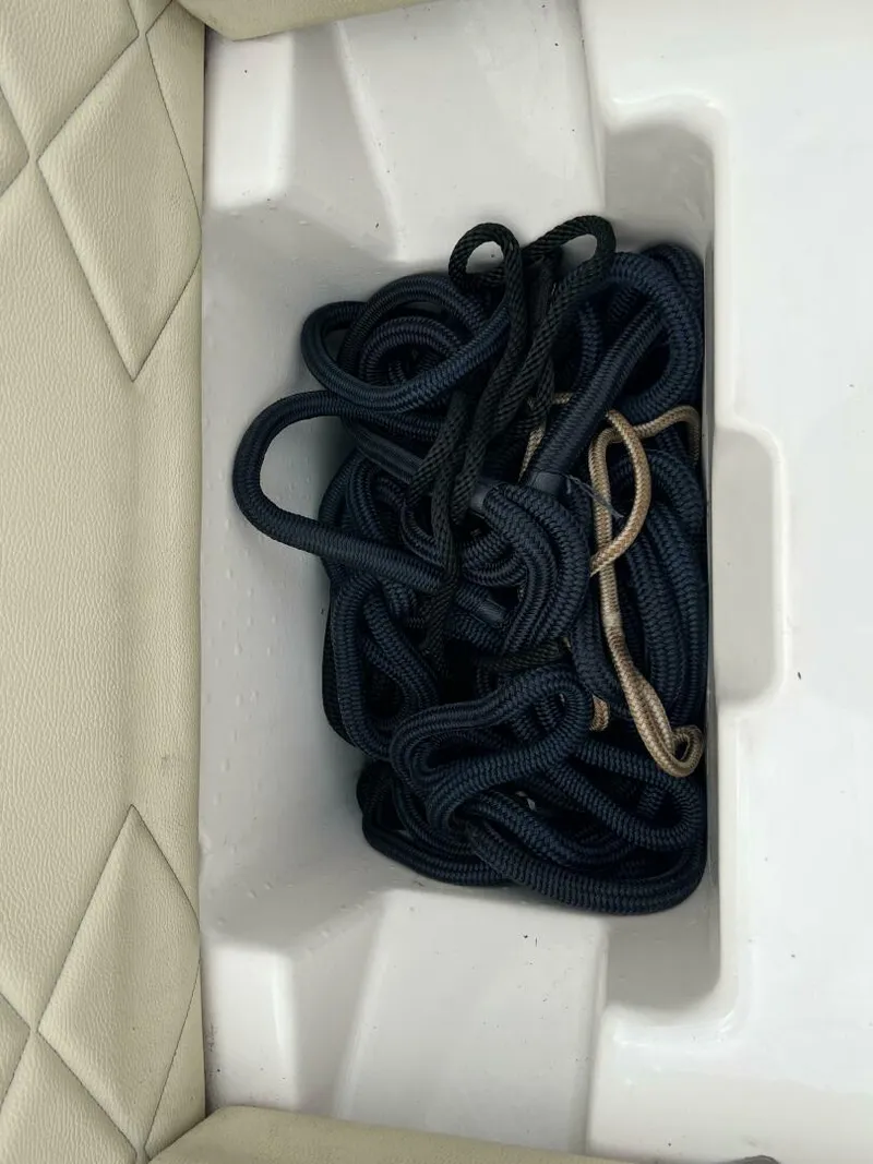 Slide: The Image of Regal 3300 Bowrider 2020 - 5003096