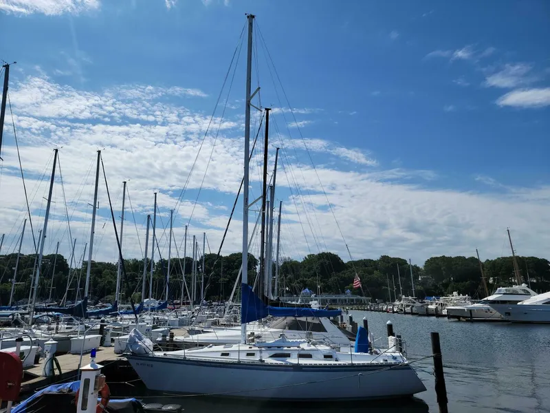 Slide: The Image of Hunter 34 1984 - 5009238